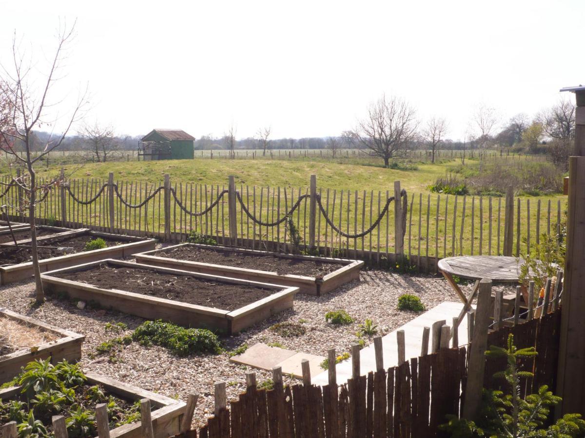 Tiny Willow Blandford Forum Exterior photo